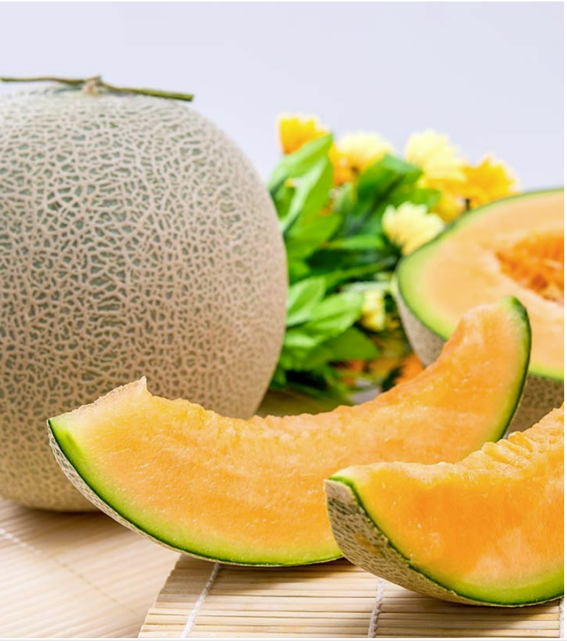 Export Quality Fresh Water Melon And Sweet Melons