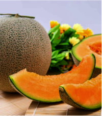 Export Quality Fresh Water Melon and Sweet Melons