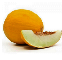 Export Quality Fresh Water Melon and Sweet Melons
