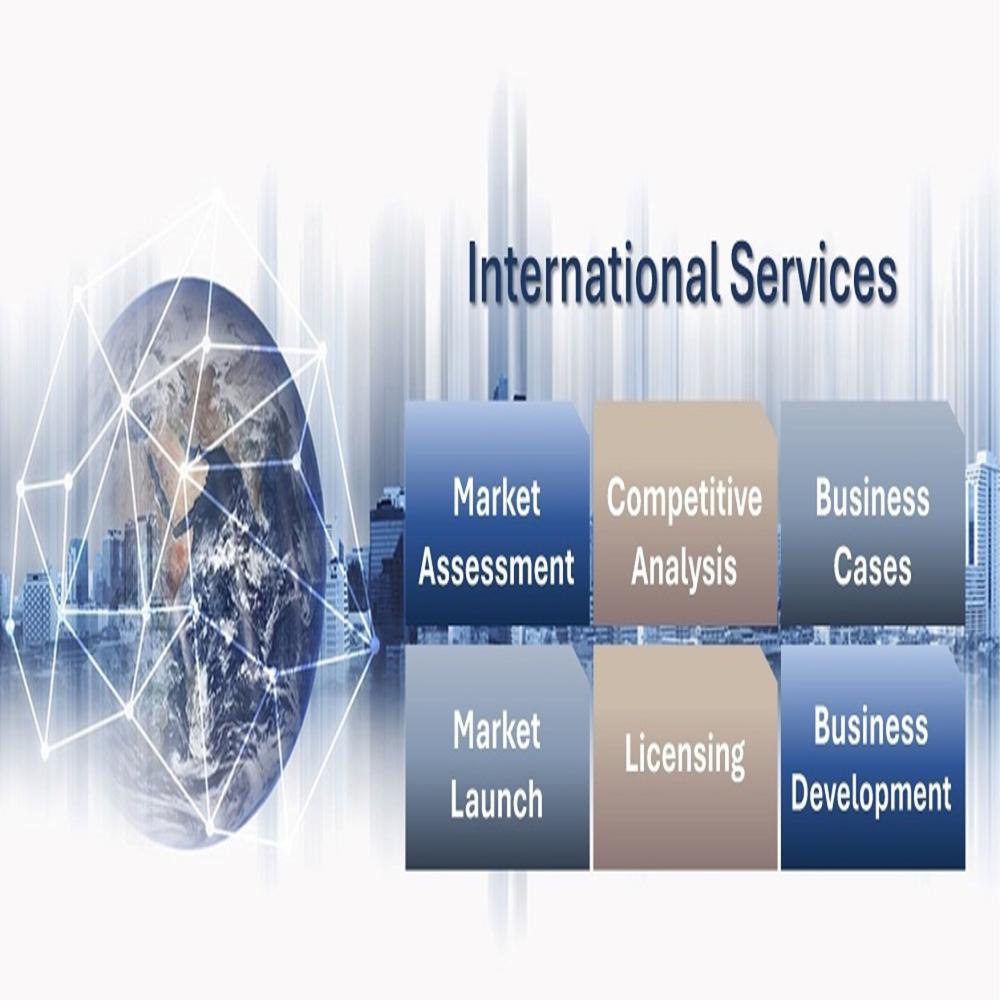 Market Expansion Services