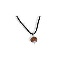 Rudraksha Pendant Locket