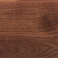 Walnut Wooden Flooring - Walnut Wood 910x125 Mm, Matte Brown Uv Coated | Scratch Resistant, Click-lock, Termite Protection
