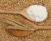 Malt Flour