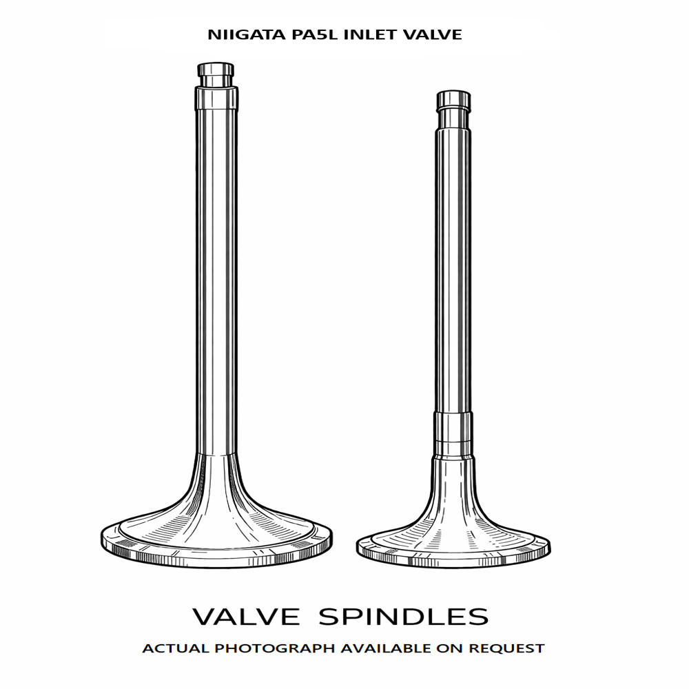 NIIGATA PA5L Inlet Valve