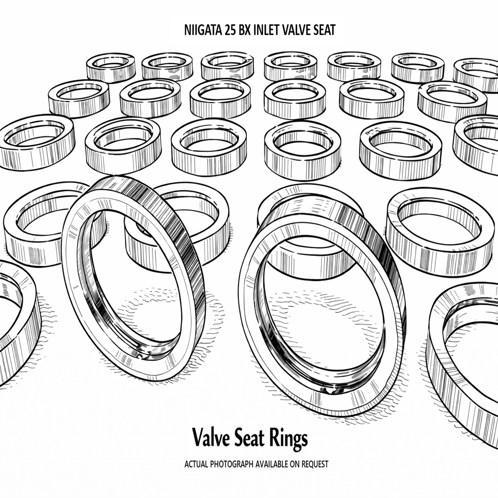 NIIGATA 25 BX Inlet Valve Seat 