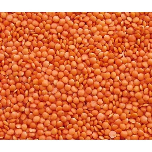 Masoor Dal