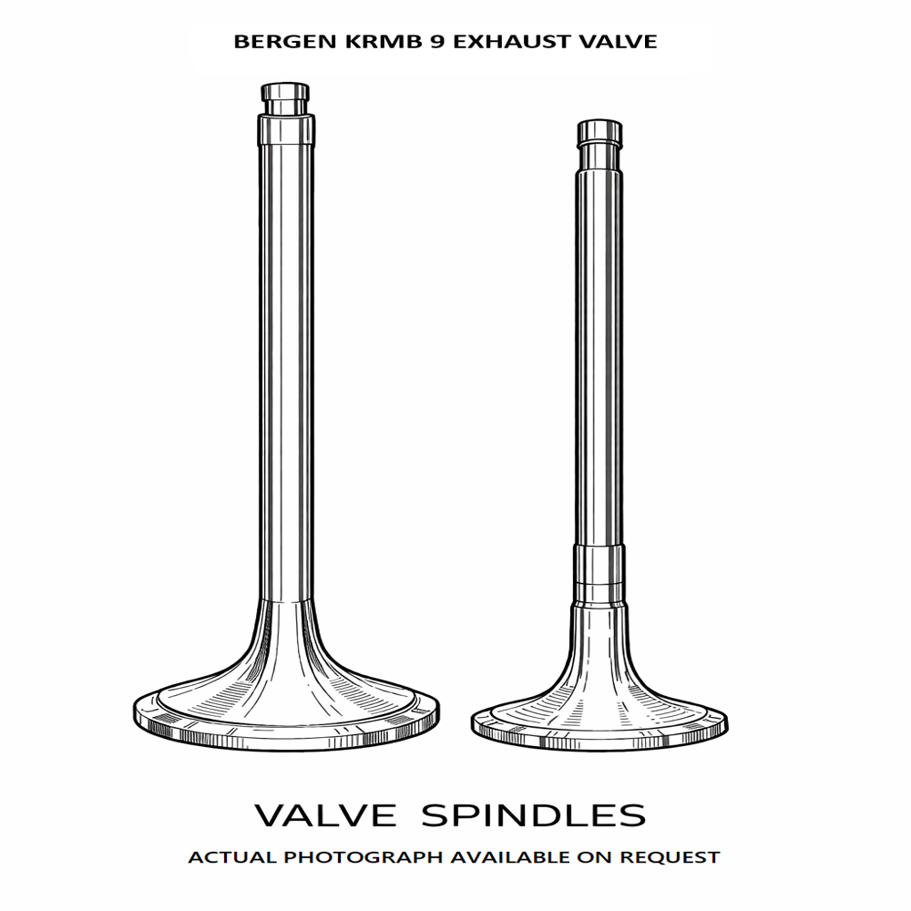 BERGEN KRMB 9 Exhaust Valve
