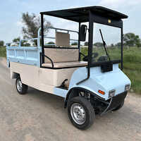 E Golf Cart Cargo - Color: White/customizable