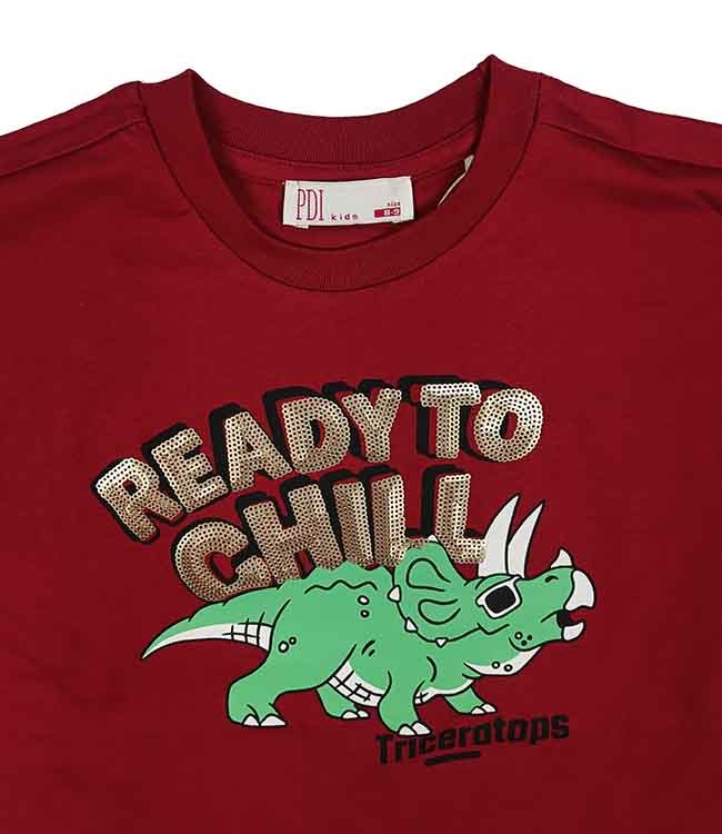 B16477 Boys Printed n Sequined T-Shirts