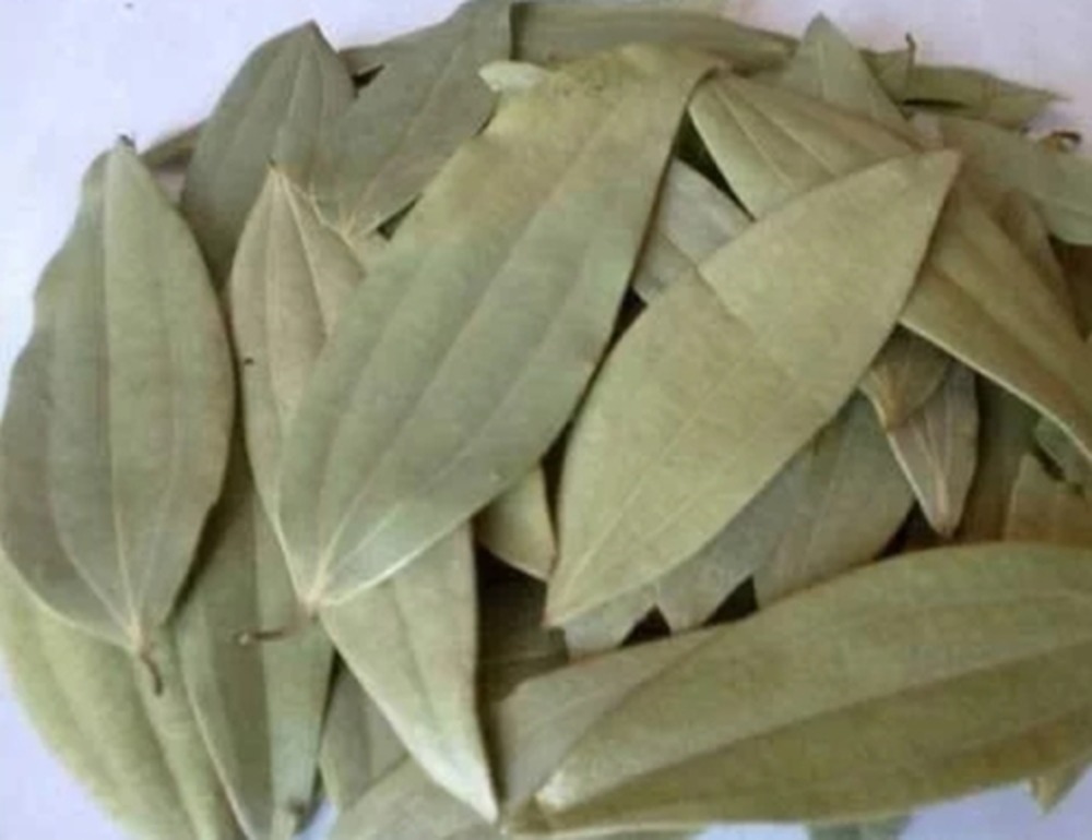 Bay Leaf (Tezpatta) - Color: Green