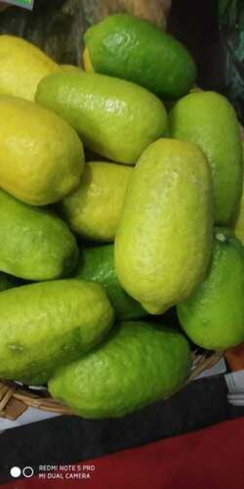 Assam Lemon - Moisture (%): 82-92%