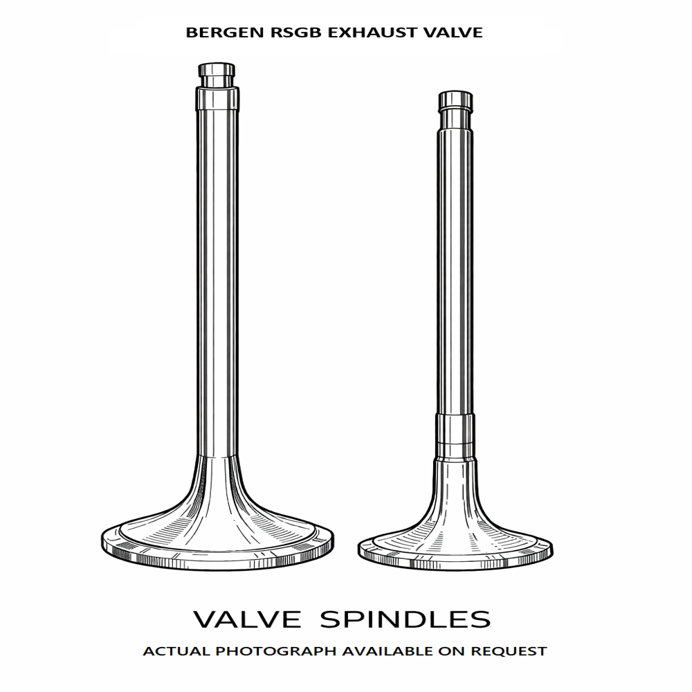 BERGEN RSGB Exhaust Valve