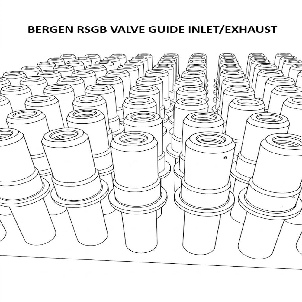 BERGEN RSGB Valve Guide Inlet/Exhaust