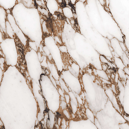 1200x1200 Calcatta Viola Rosso High Gloss Tiles