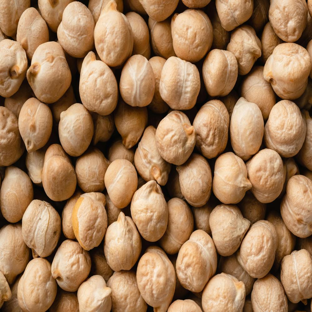 White Kabuli Chana