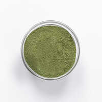 Palak Powder