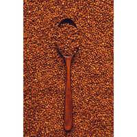 Halim Seeds