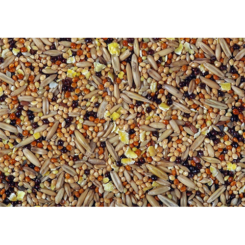 Seed Mix (6-in-1)