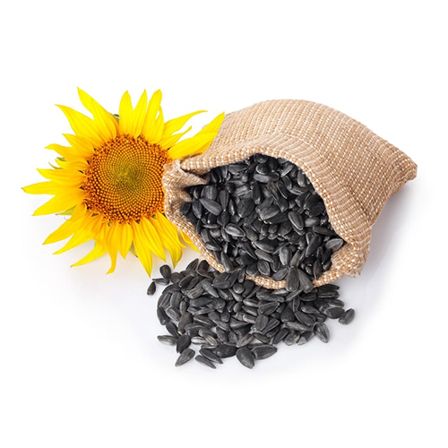 Sunflower Seeds