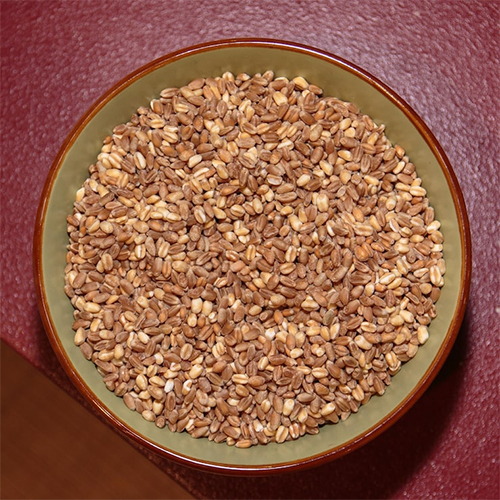Khapli Wheat Whole