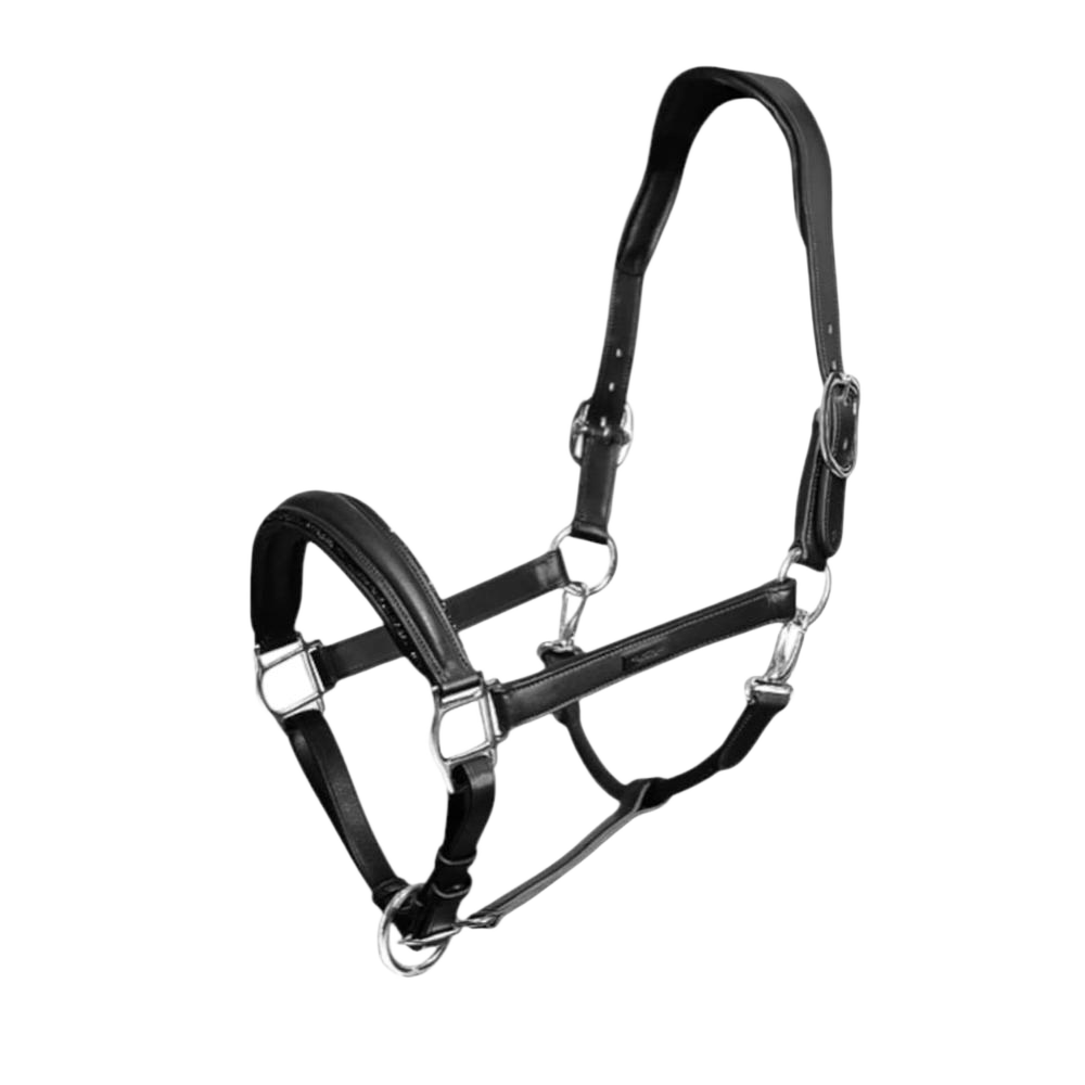 Horse Leather Halter