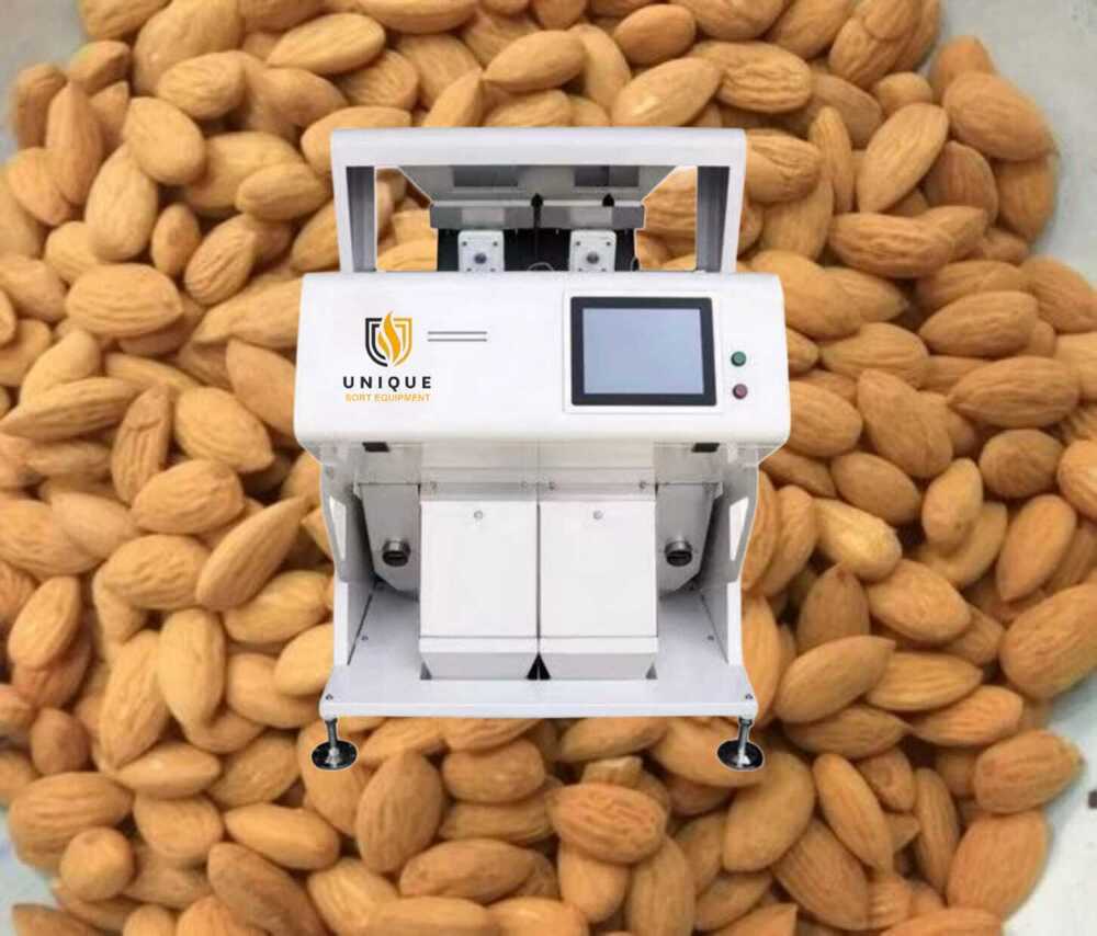Almond Color Sorter Machine