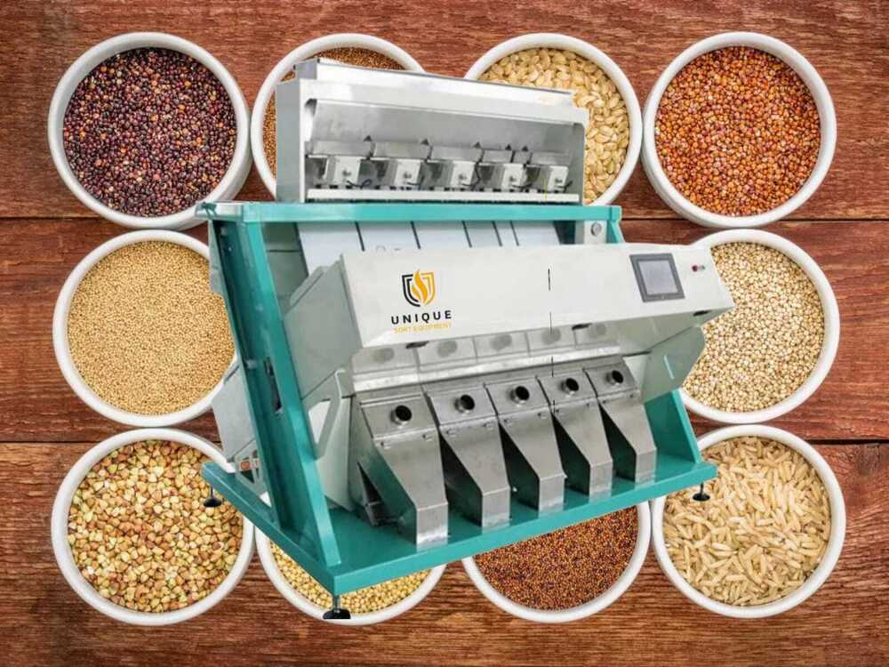Pulses Color Sorter Machine