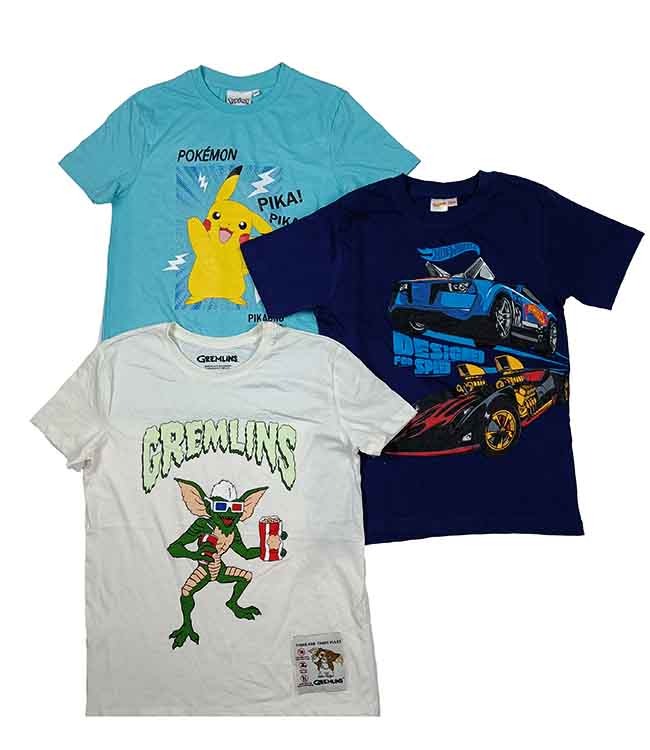 B16478 Character Boys Printed T-Shirts