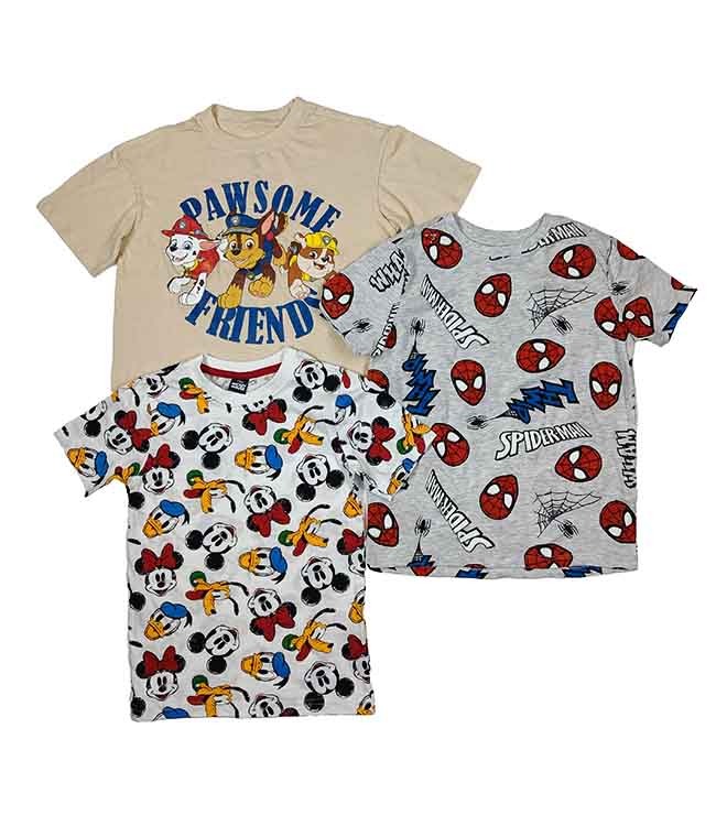 B16478 Character Boys Printed T-Shirts