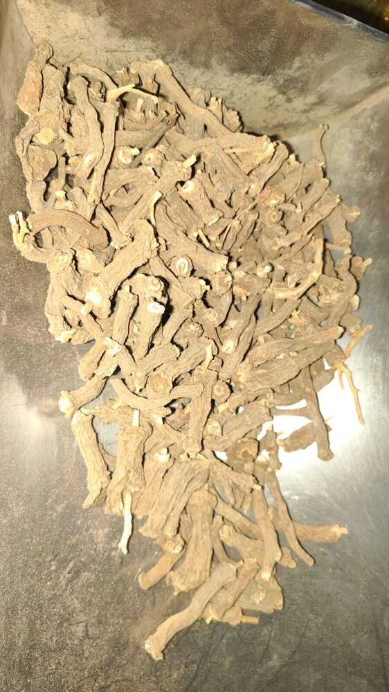 Dry Annat Mool Seeds