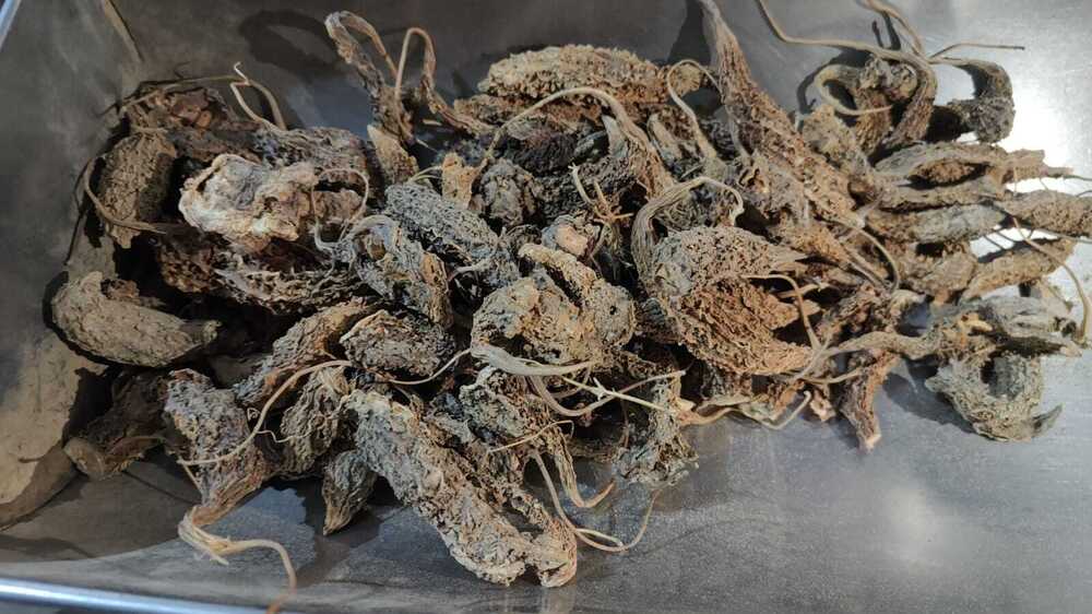 Dry Karela Bitter Gourd