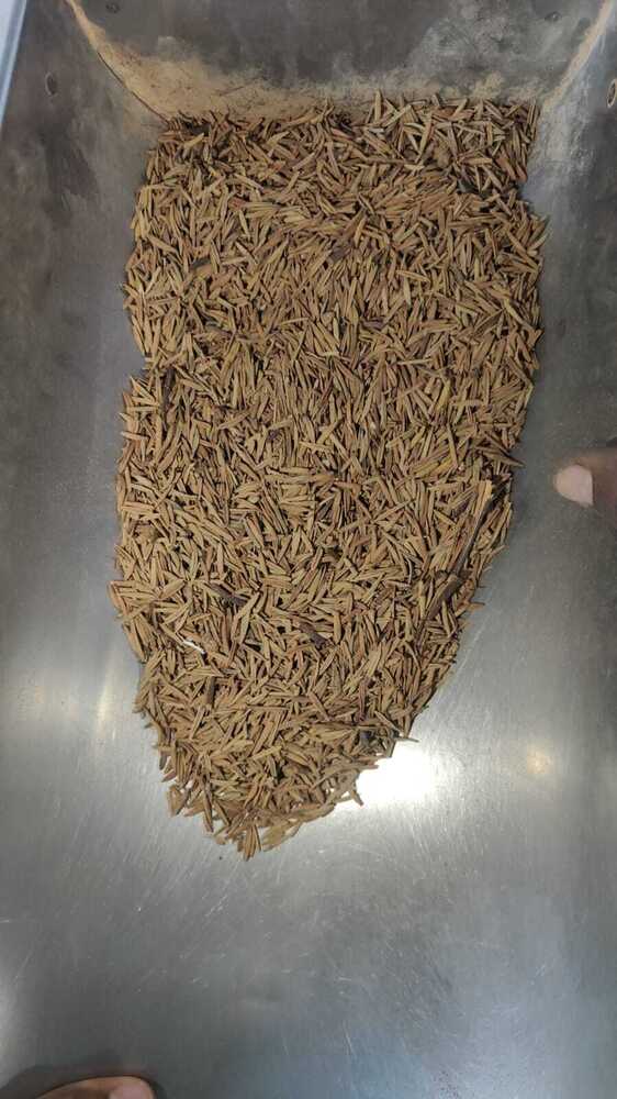 Indrajau Kadwa - Color: Light Brown To Brown