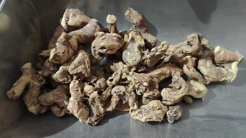 Dry Kulnjhan - Age Group: For Adults