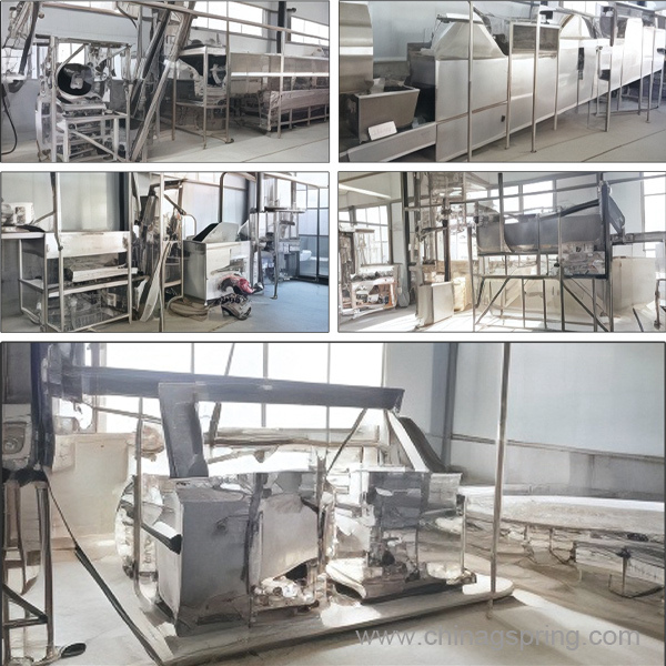 Fried Peanut Production Line