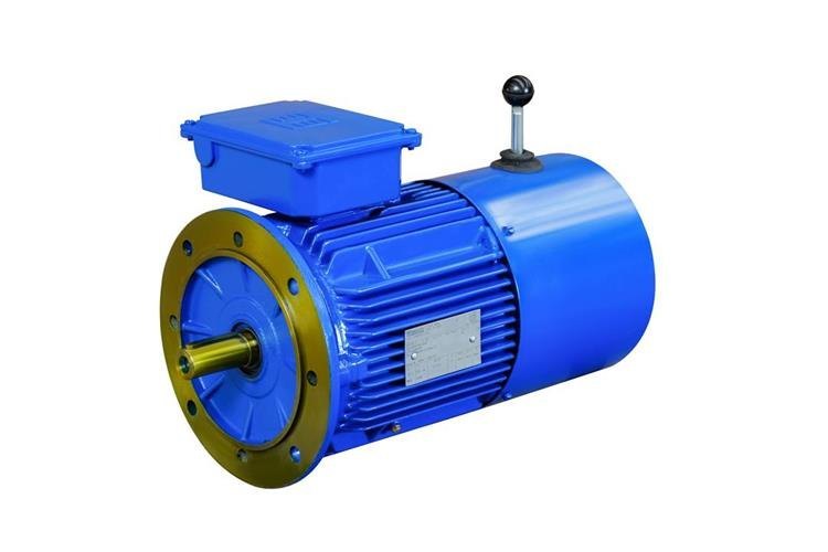 Electric Brake Motor