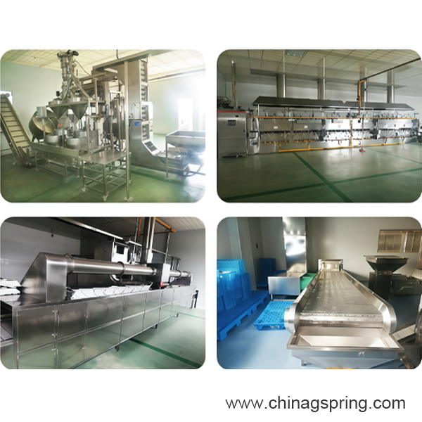 Coated Nuts Roasting Production Line