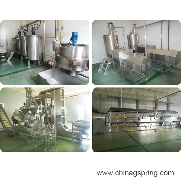 Coated Nuts Roasting Production Line