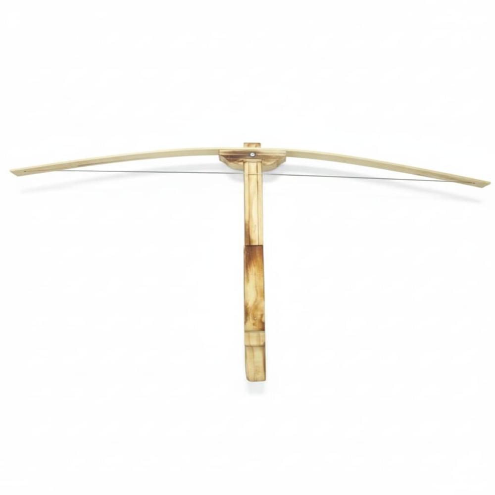 Wooden Crossbow - Application: Award Ceremony