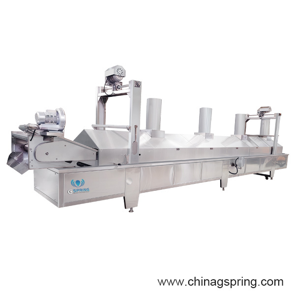 Industrial Continuous Fryer