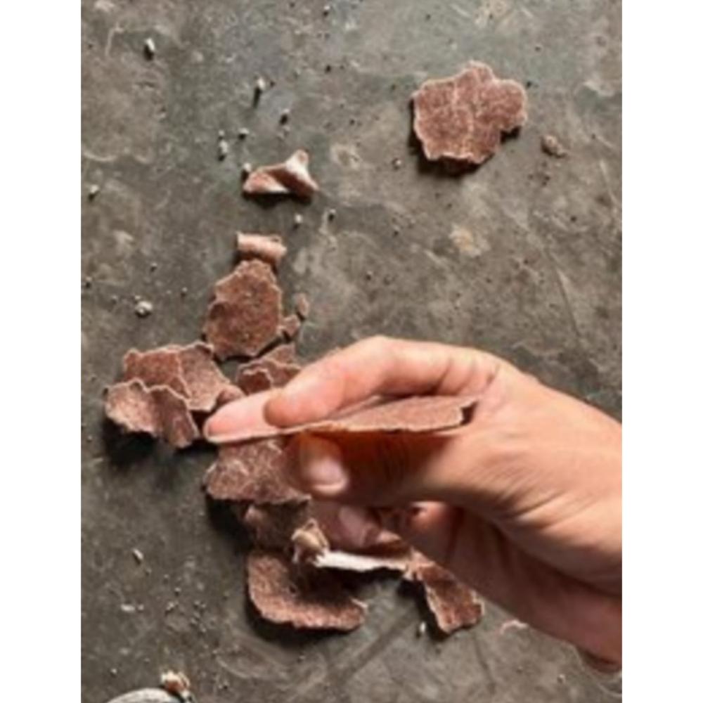 Groundnut Cake Supplier - Color: Brown