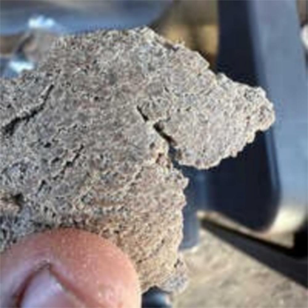 Groundnut Cake Exporter