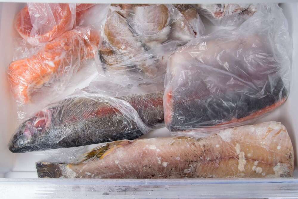 Frozen Food Fish