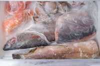 Frozen Food Fish