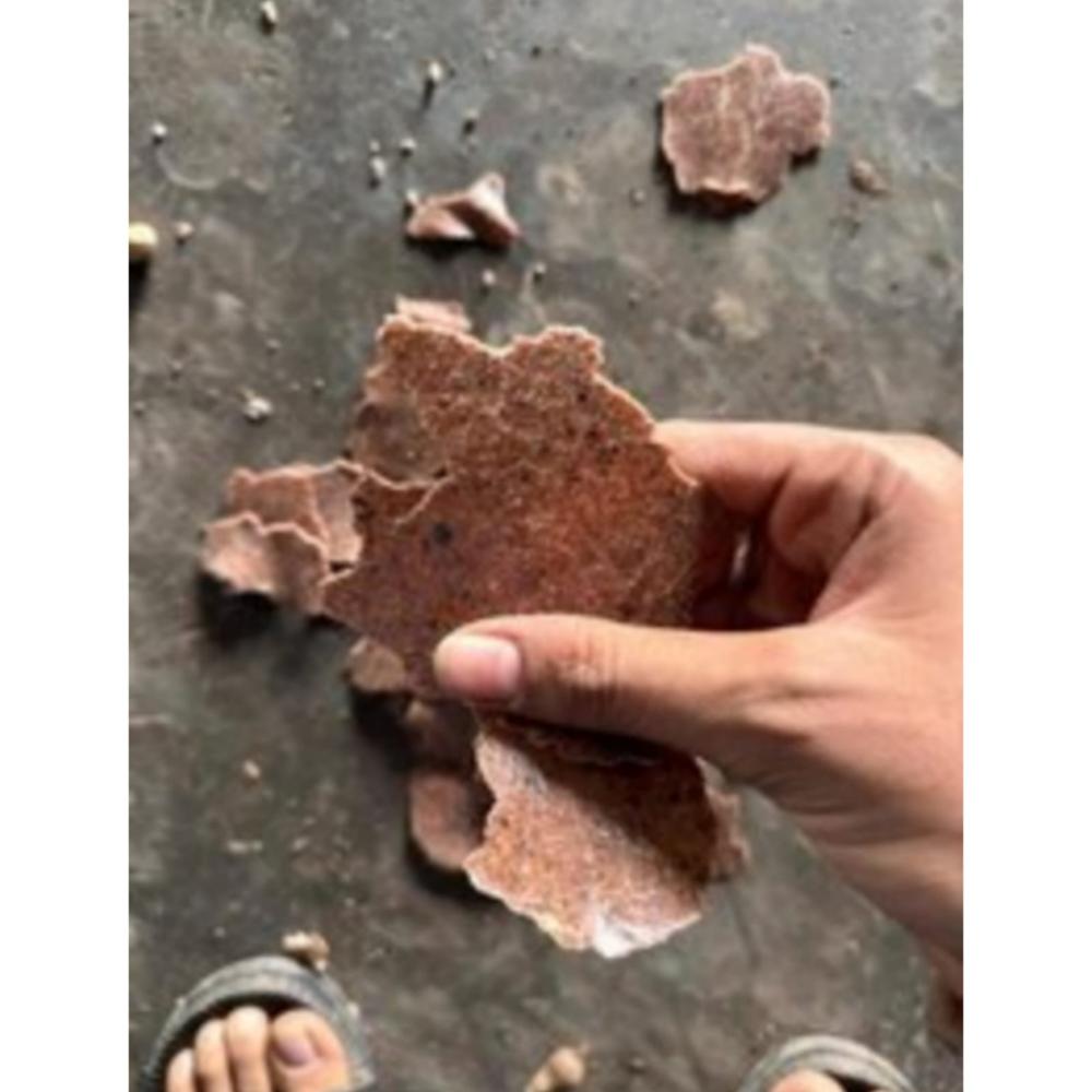 Groundnut Cake India - Color: Brown