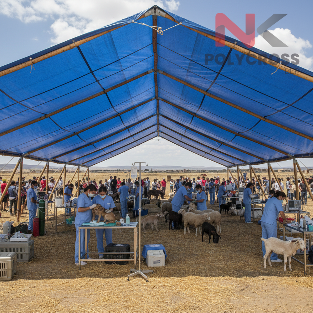 Animal Shelter Sheet