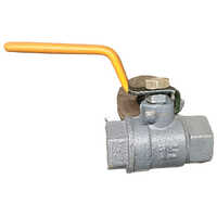 SS Screwed Ball Valves