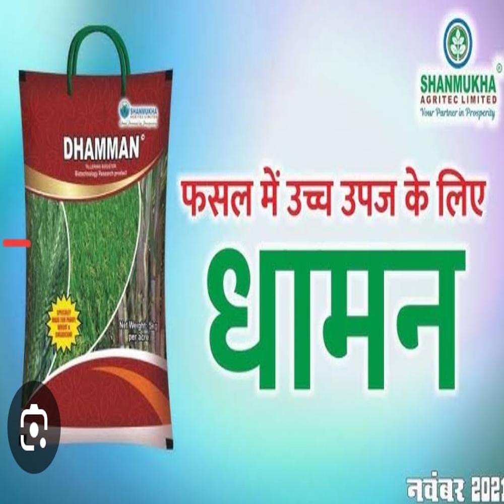 Dhamman (Soil Application - Tillering Granules)