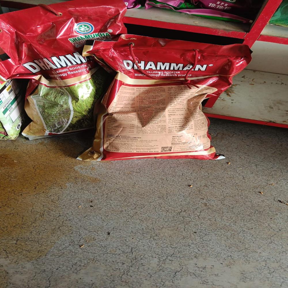 Dhamman (Soil Application - Tillering Granules)