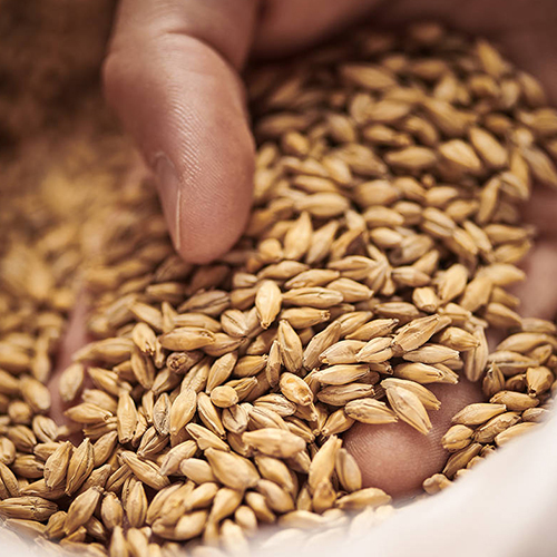 Weyermann BoehmischesPilsnerMalz