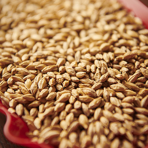 Type 1 Weyermann MuenchnerMalz